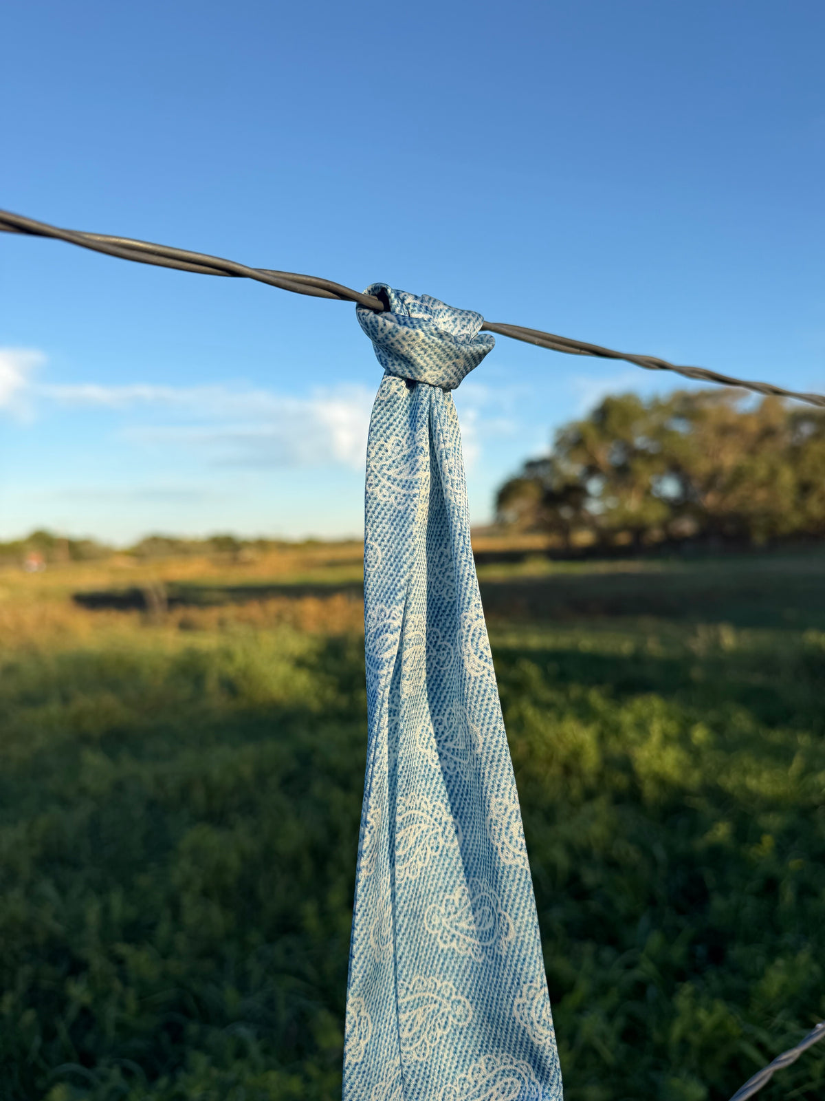 Denim Silk Twilly Scarf w/ White Paisley Pattern
