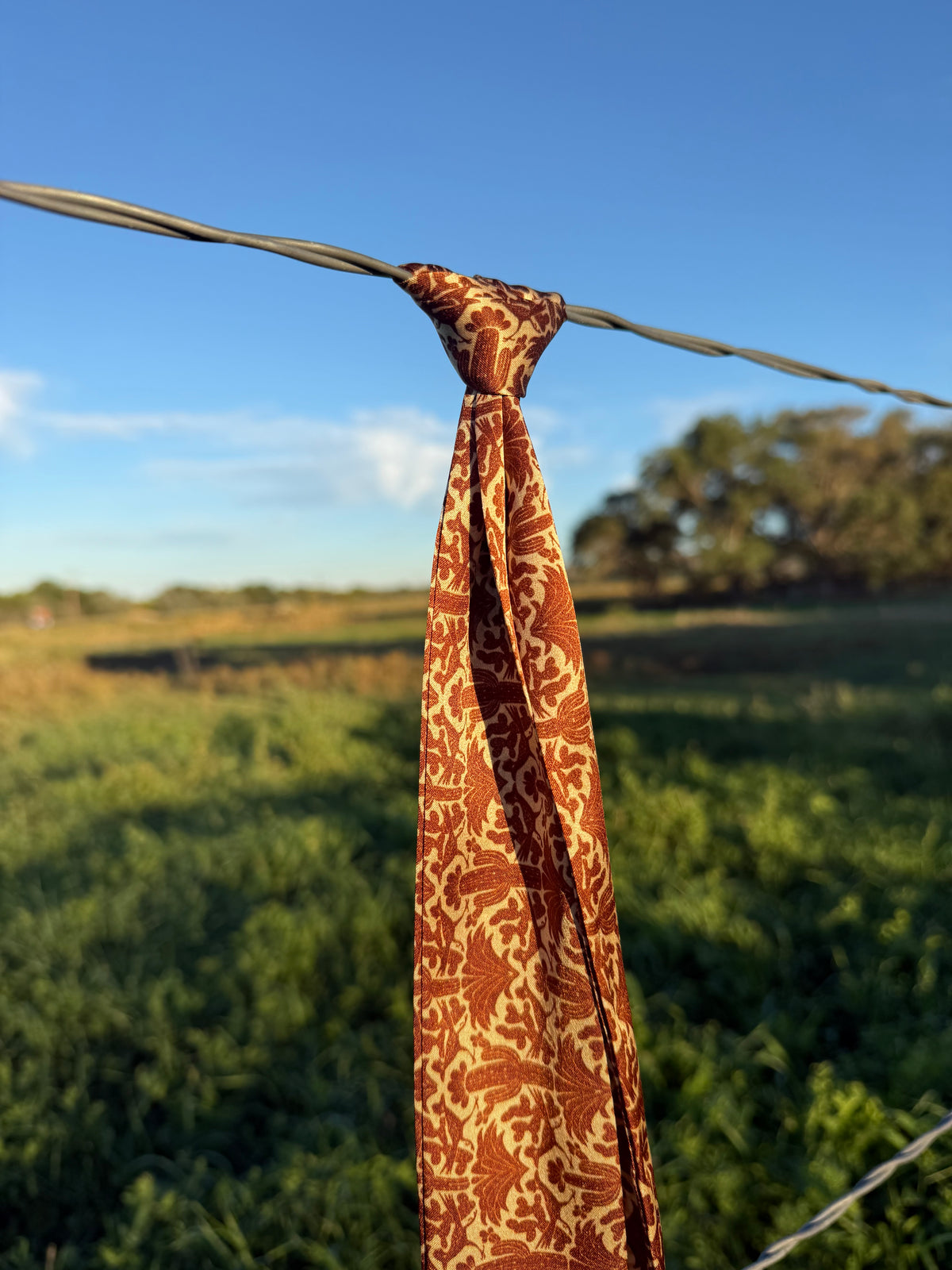 Western Desert Dunes Silk Twilly