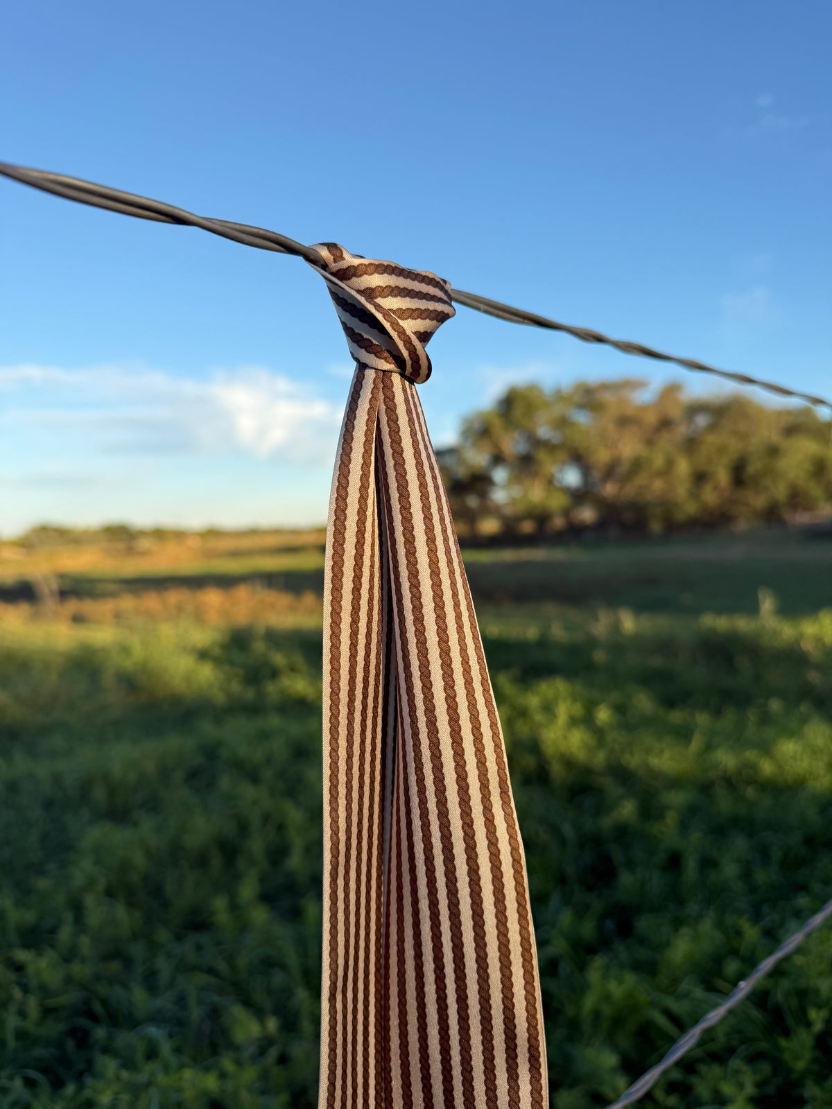 Tan Silk Twilly Scarf with Brown Rope Stripes
