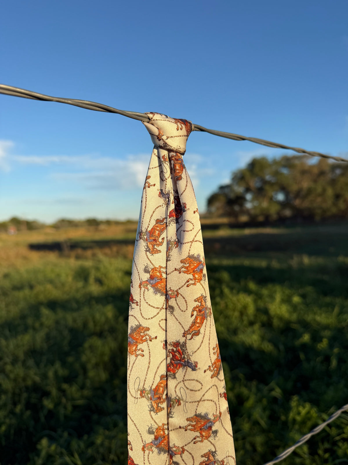 Silk Twilly Scarf w/ Bucking Cowgirls & Rope Pattern