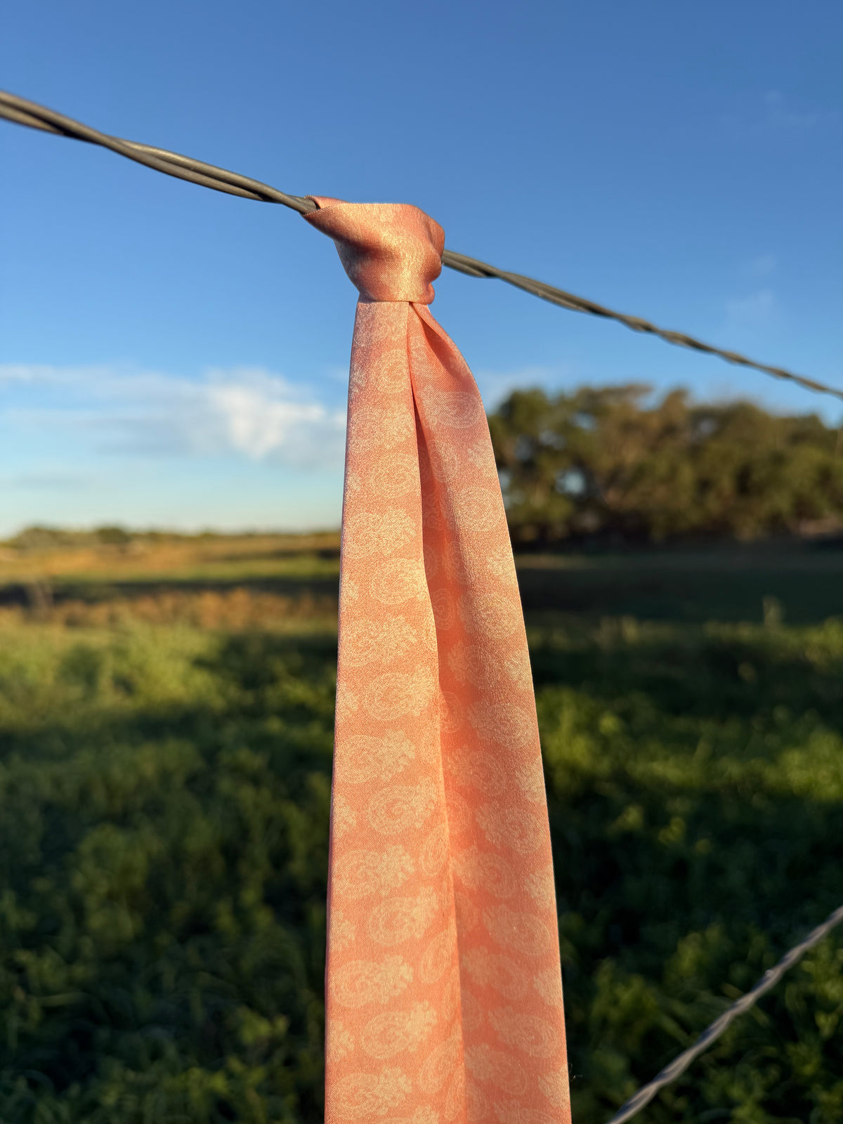 Western Floral Horseshoe Silk Twilly