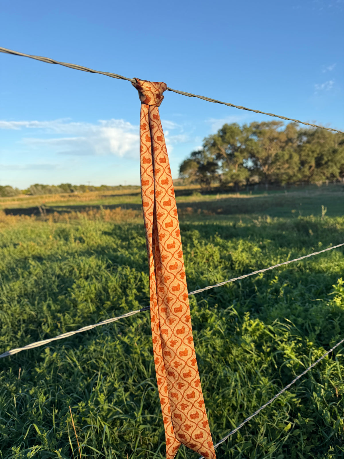 Cowboy Boots, Saddles, & Rope Silk Twilly